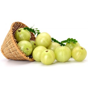 picture of green grapes