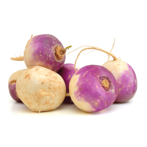 picture of white turnip